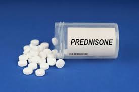 prednisone